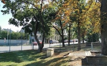 Sports for Women by Sonja Wolf