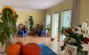 Stella Hiesmayr, MSc.