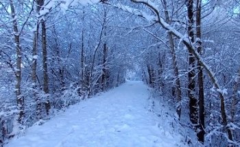 Mag.Dipl.Mental-, Fitness-, Gesundheitstrainerin & Ironman Certified Coach, Anca Moraru