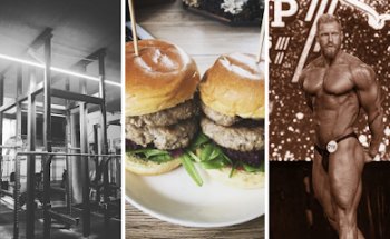 Vienna Muscle and Fitness