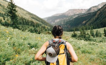 Stimmiges Leben - Elisabeth Staudinger
