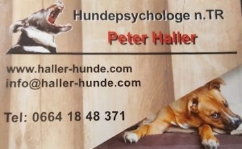 Hundepsychologie n.TR Peter Haller