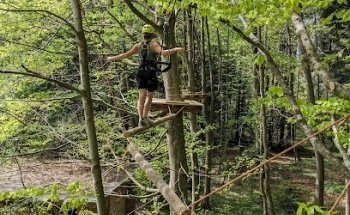 Hochseilgarten Attersee