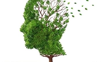 Mentaltraining, Kinesologie & Wohlfühlanwendungen