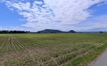 Wege für die Zukunft