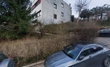 Claudia Widmann, Stimm-Sprech-Schauspieltraining