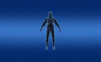 Abnehmbegleitung online