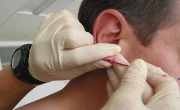 Mag. Gerhard Mayrhuber - Mayrhuber KG