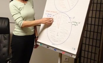 Mentalcoaching für persönliche Entwicklung - Ines Wehner / Raum Bludenz UND Bregenz