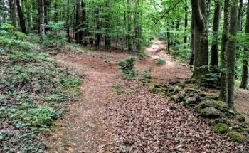 Barfuß Lauf Schule Gramastetten-Linz-Leonding