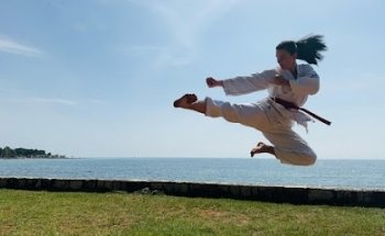 Traditionelles Taekwon-Do Center Wels