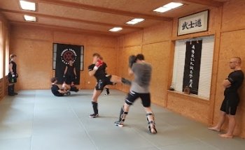 Vienna Combat Academy