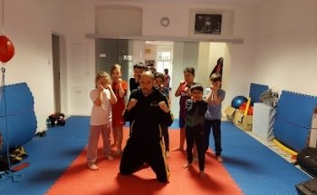 Martial Arts School Vienna