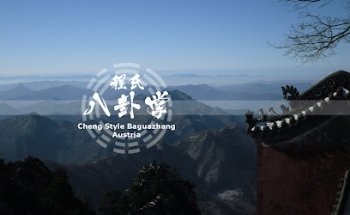 BaguaZhang & Austrian Shuai Jiao Union