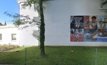 Karate Sportunion Shuhari Graz