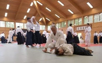 Aikido Budokan Wels
