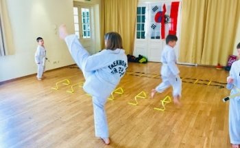 Mein Kampfsport Verein