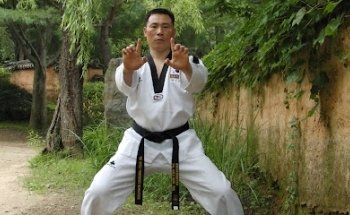 Olympic Taekwondo Wels