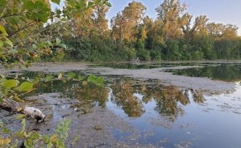 Badestelle Donau-Oder-Kanal