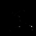 Poletics - Pole Dance Amstetten