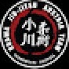 Ogawa BJJ Austria Team