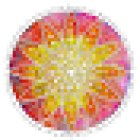 Yoga Nina Holler (Yoga am Katerstein, ehem. Yogadachboden Eisenstadt)