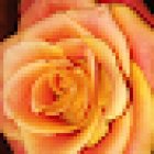 Gabriele Honauer Yoga