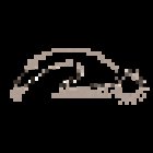 Sacred Space Praxis für Yoga und Holistic Coaching