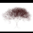 Seminarzentrum Dendron