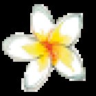 Feelgoodstudio Hot Yoga & Pilates