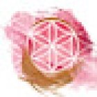 Pamela Gailus | Spirituelle Begleiterin