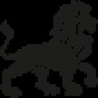 Tom Netzmann - Personal Trainer