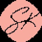 Sonja Kaiser Personal Training