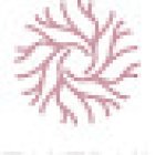 Mentaltraining, Migränebegleitung & Mehr Sara Jaros, BSc