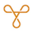 Bernhard Koller Coaching