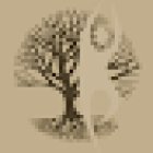 Physiotherapie bewegt Klagenfurt