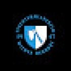 Tischtennisverein Wiener Neudorf 1947