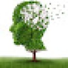 Mentaltraining, Kinesologie & Wohlfühlanwendungen