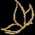 Life Quality Bewegungszentrum