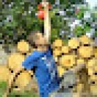 Humsis Functional - Ich helfe Dir dabei, Gesund, Energie geladen und Finanziell Frei zu sein.