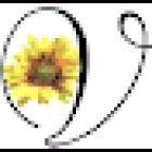 Vitalstudio Barbara Fried - Ganzheitliche Gesundheits- und Wohlfühlmanagerin