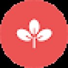 Fortbildung & Teambuilding