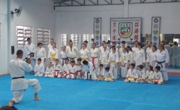 Academia BUDOKAN/FGKS