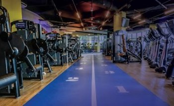 Bluefit - Santos - Canal 5