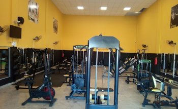 Academia Health & Life