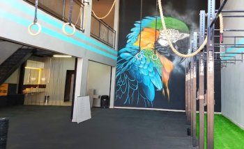 Macaw Crossfit