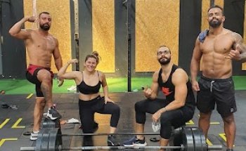 Cross Box Steel Bull's