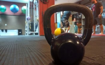 Studio Fernando Gonçalves