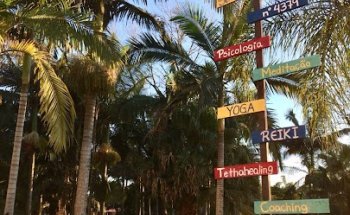 Espaço Semente do Despertar