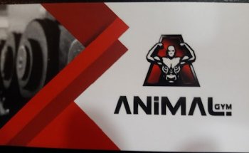 Academia Animal Gym